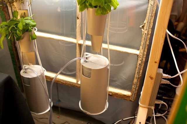 Windowfarms sells vertical, hydroponic growing system that allows for year-round growing in almost any window.